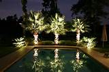 Pool Landscaping Lights