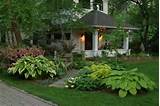 Pictures of Front Yard Landscaping Hosta