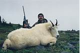 Images of Mountain Goat Hunting