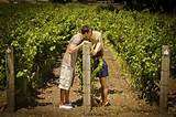 Photos of Napa Valley Romantic Packages