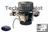 Carrier Inducer Motor Replacement Cost Images