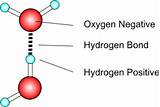 Hydrogen Atom Form An Ionic Bond Images