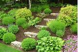 Images of Landscaping Yard With Hill
