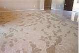 Wet Carpet Odor