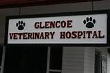 Pictures of Glencoe Animal Hospital Boarding