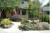 Front Yard Xeriscaping Landscaping Pictures