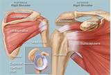 Muscle Pain Doctor Near Me Images