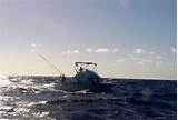 Pictures of Caribbean Deep Sea Fishing