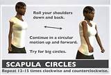 Scapular Muscle Strengthening Exercises Photos