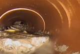 Photos of Sewer Pipes Clogged