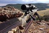 Pictures of Best Cheap Rifle Scope For Deer Hunting