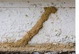 Philadelphia Termite Inspection Images