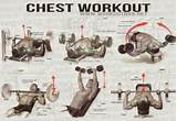Workout Routine Chest And Back Pictures