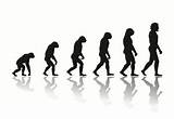 Theory Of Evolution Of Man Images