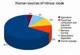 Effects Of Nitrogen Gas On Humans