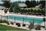 Plants For Swimming Pool Landscaping Images