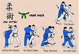 The Difference Between Jujitsu And Brazilian Jiu Jitsu Images