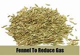 Fennel For Gas Pictures