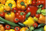 Usda Vegetable Market Prices