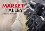 Woodward Livestock Market Report Photos