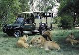 Photos of Kruger Park Safari Tours