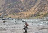 Pictures of Guided Fly Fishing Trips Idaho
