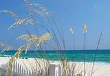 Timeshare Resorts In Panama City Beach Pictures