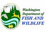 Washington State Resident Fishing License