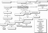 Images of Chapter 15 Theory Evolution Worksheet Answers