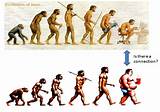 Theory Of Evolution Racist Images