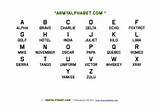 The Army Alphabet Images