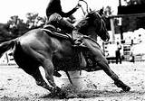 Pictures of Barrel Racing Photos