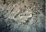 Dinosaur Fossil Quarry Colorado Pictures