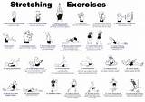 Photos of Muscle Stretching Exercises