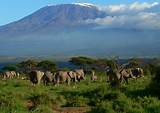 Best Months To Climb Kilimanjaro Photos