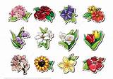Flowers Stickers Images