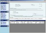 Large Business Accounting Software
