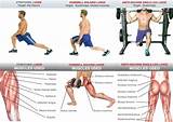 Exercises Muscles Used