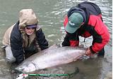 Pictures of Salmon Fishing In Kenai Alaska