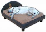 Pictures of Dog Bed Mattress