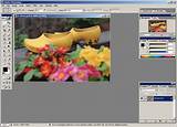 Adobe Photoshop Software Cost Photos
