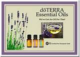 Doterra Essential Oil Business Cards Pictures