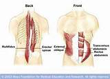 Photos of Transverse Muscle Exercise