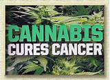 Images of What Cancer Does Marijuana Cure