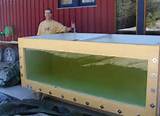 Images of Plywood Fish Tank