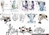 Images of Old School Arm Workouts