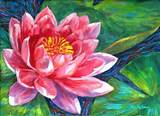 Images of Lotus Flower Painting
