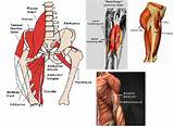 Core Muscles Used In Running Pictures