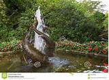 Fish Pond Fountain Images