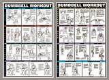 Dumbbell Back Workout Exercises Pictures